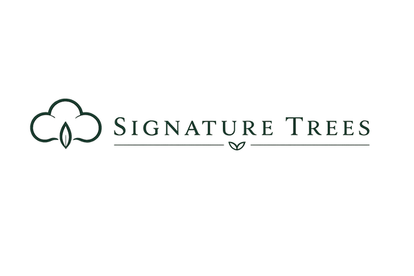 Signature Trees logo (transparent)